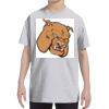 Youth DRI-POWER® ACTIVE T-Shirt Thumbnail