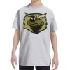 Youth DRI-POWER® ACTIVE T-Shirt Thumbnail
